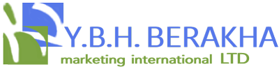 YBH International